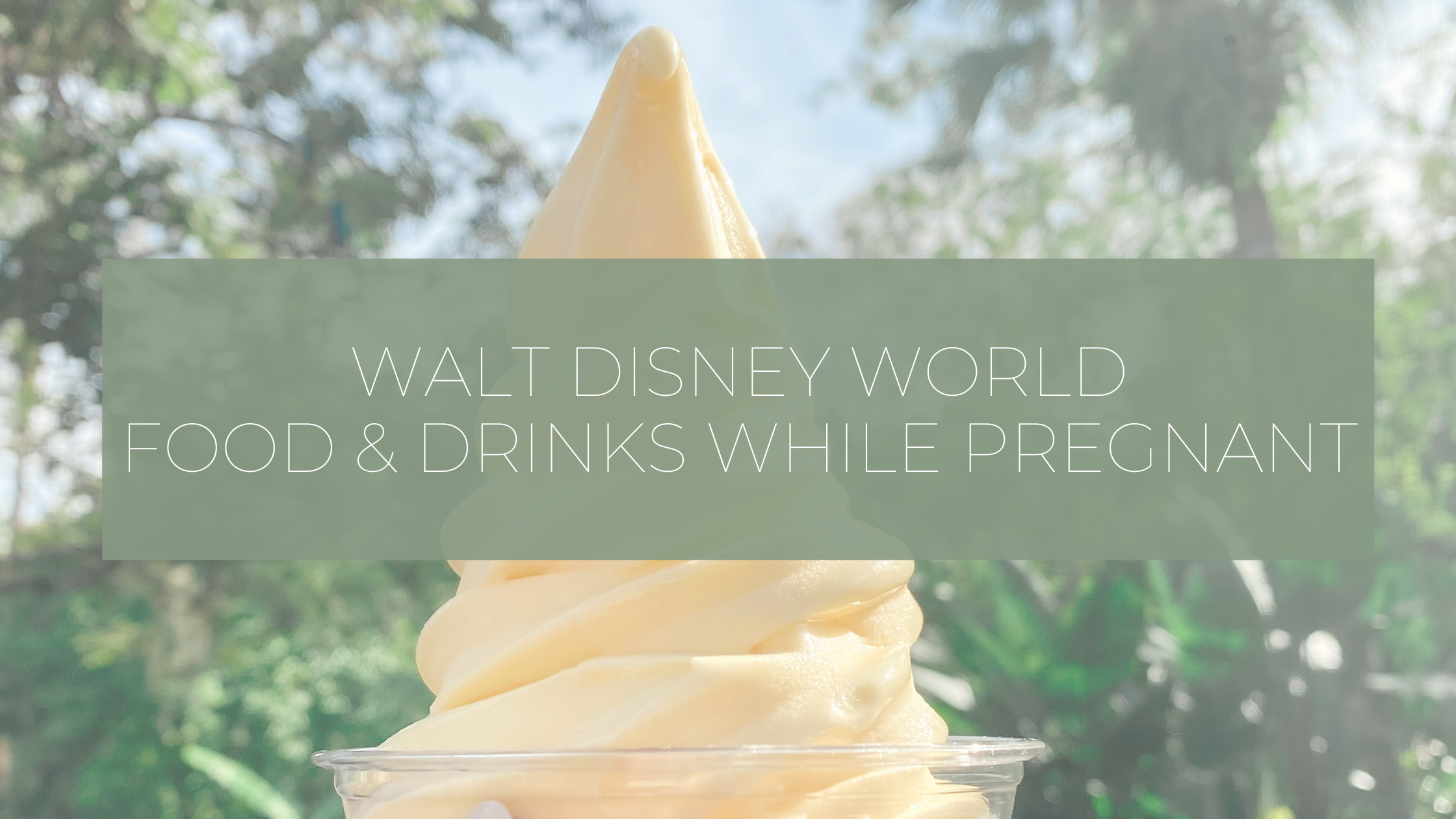 Disney World Drinks and Food When You Are Pregnant
