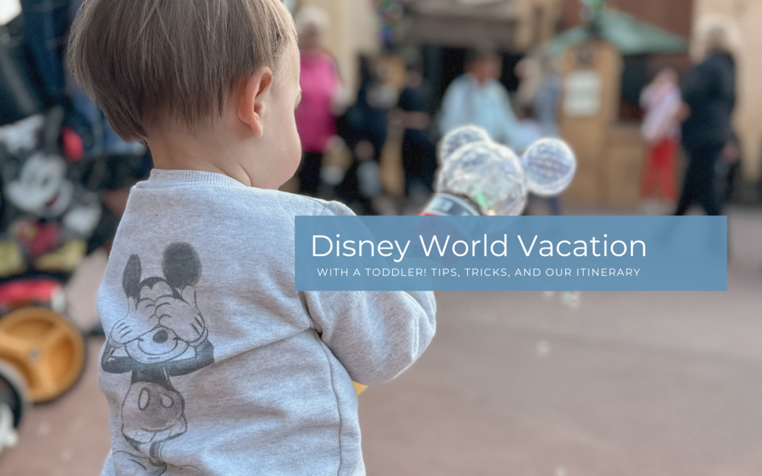 How We Did a Disney World Vacation with a Toddler